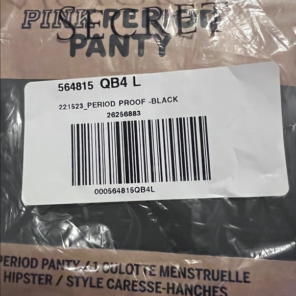 Victoria's Secret Other - 🌺 Victoria Secrets “period” panty